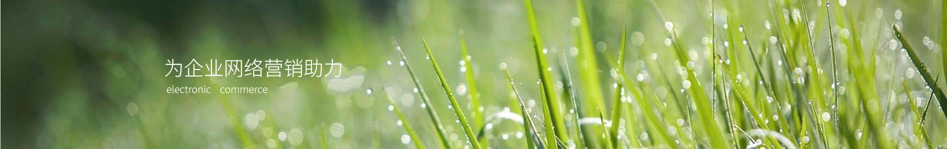 ԴƼó޹˾